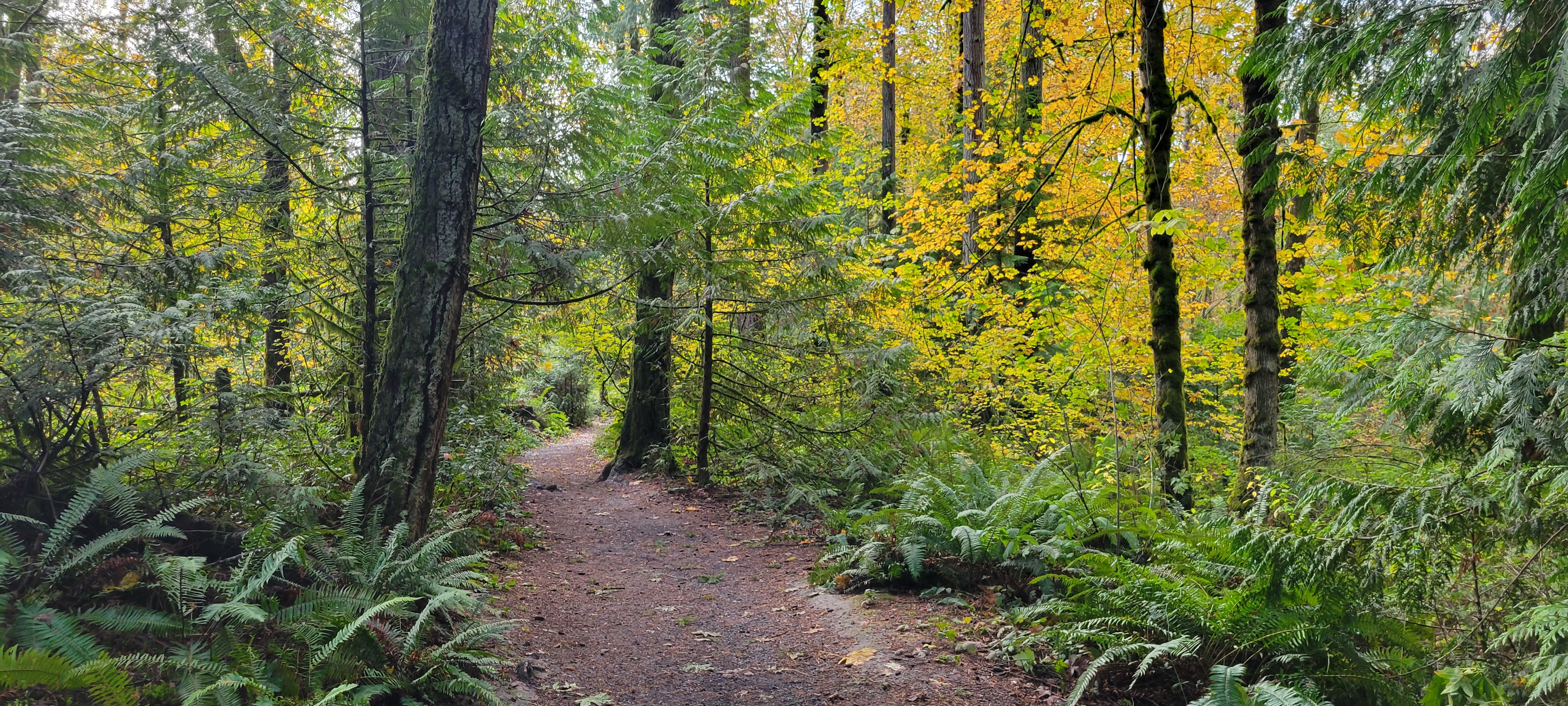 Tryon Creek Park, Portland, Oregon