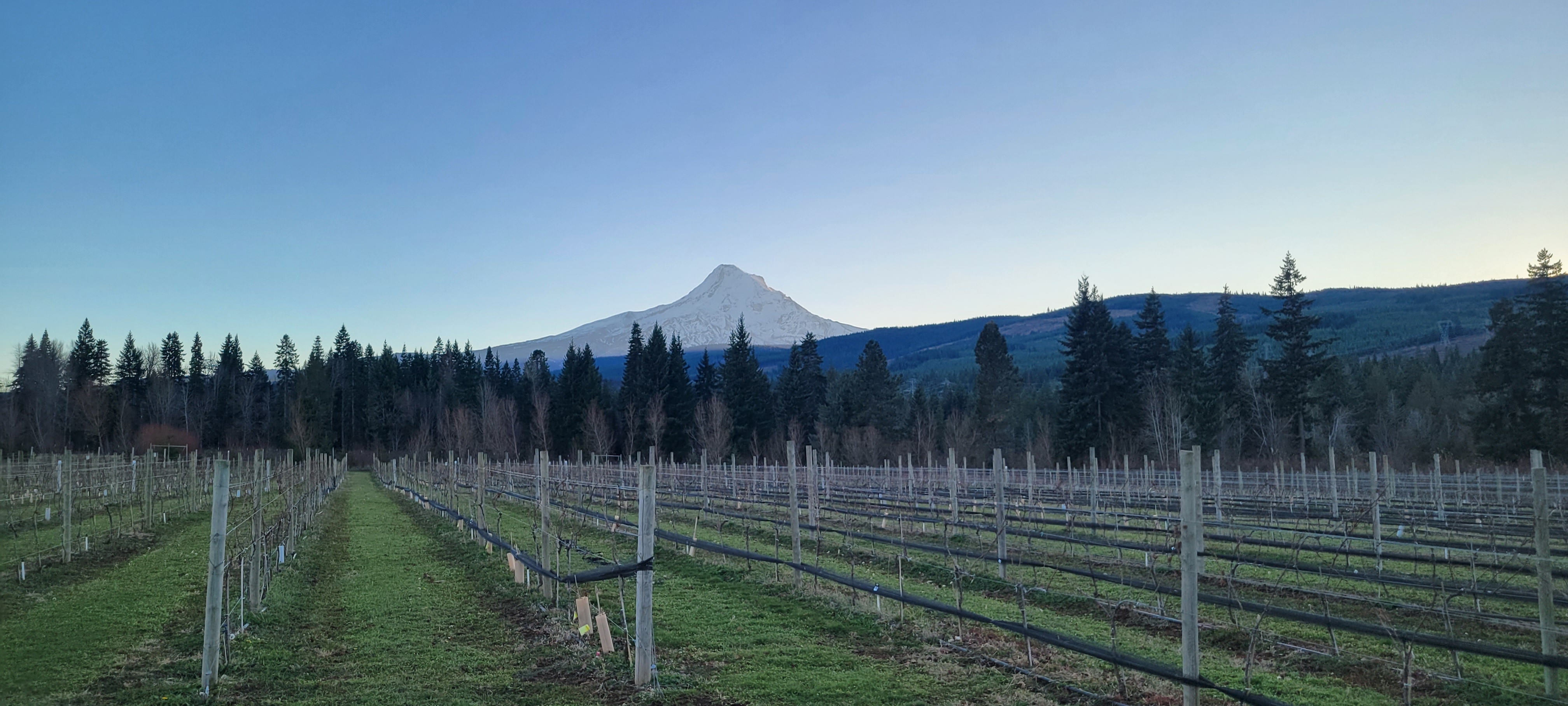Mount Hood, North Face. Hood River, Oregon.